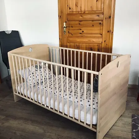 Turmvilla Vogtland アパート エルスニッツ